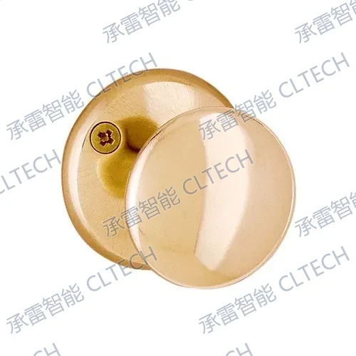 ABLOY DP616 / 116 球形门拉手